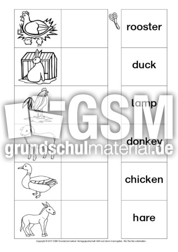 AB-animals-Zuordnung 3.pdf